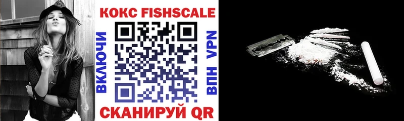 Cocaine Fish Scale  Купить закладки  Алексин 