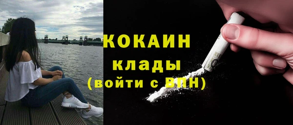 apvp Дмитров