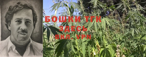 apvp Дмитров