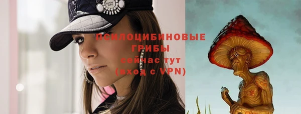 прущие крисы Дмитриев
